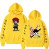 One Piece Roronoa Zoro Hoodie – Unisex Harajuku Style Hoodies 19