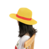 One Piece Straw Hat Luffy: Authentic Weaved Cosplay Hat Cosplay 8