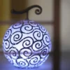 Devil Fruit Lamp: One Piece 3D Puzzle Night Light Figures 12