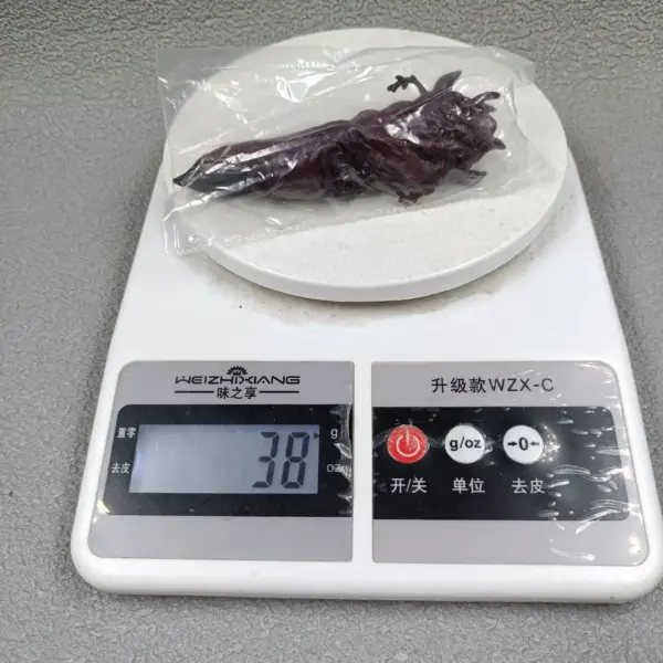 Sukuna Finger Replica – Ryomen Sukuna Cursed Finger Prop 10cm Jujutsu Kaisen 4